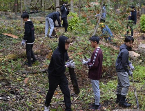TCS’s “Brentlemen” form work party for Northumberland Land Trust