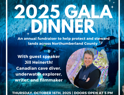Tickets for 2025 Gala on sale now