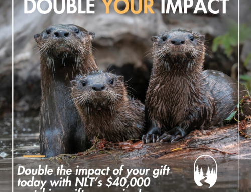 $40,000.00 Matching Gift Campaign