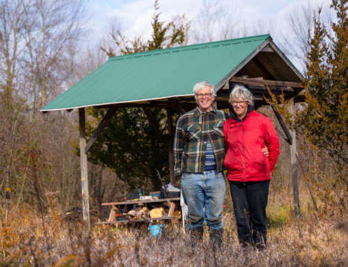 CBC Ontario Morning Interview with Anne Purvis