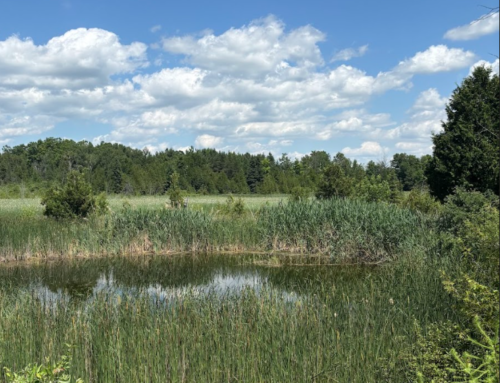 NLT signs agreement to create 21st nature reserve