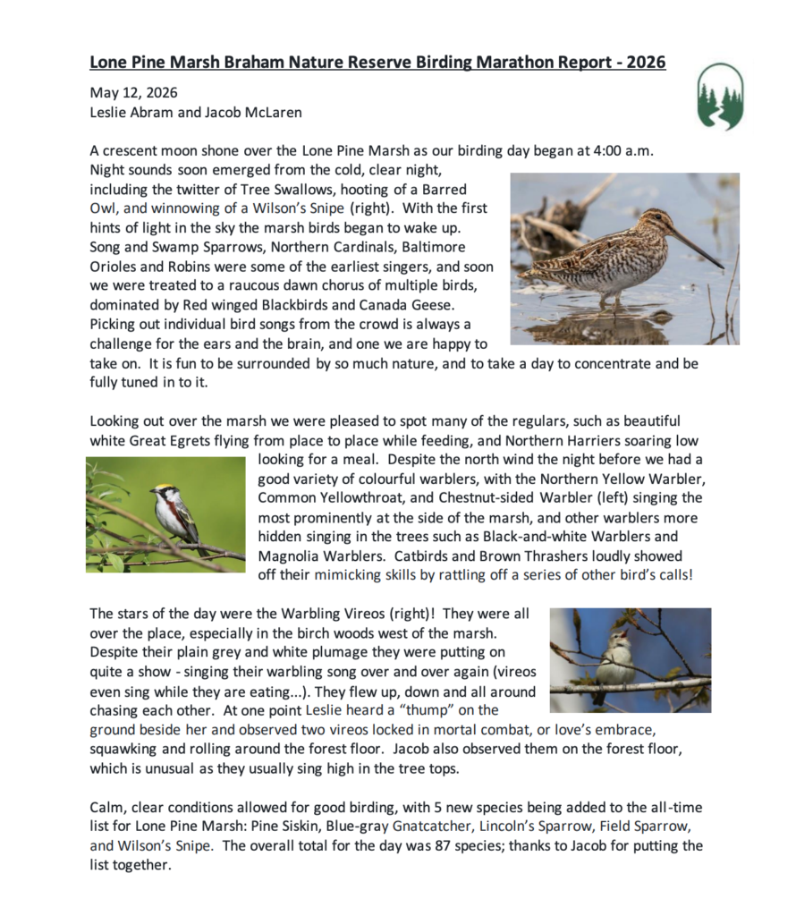 Follow along! Birding Marathon updates here – Northumberland Land