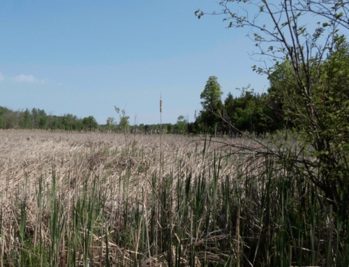 NLT signs agreement for 22nd nature reserve