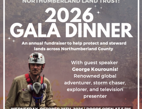 Gala tickets now on sale